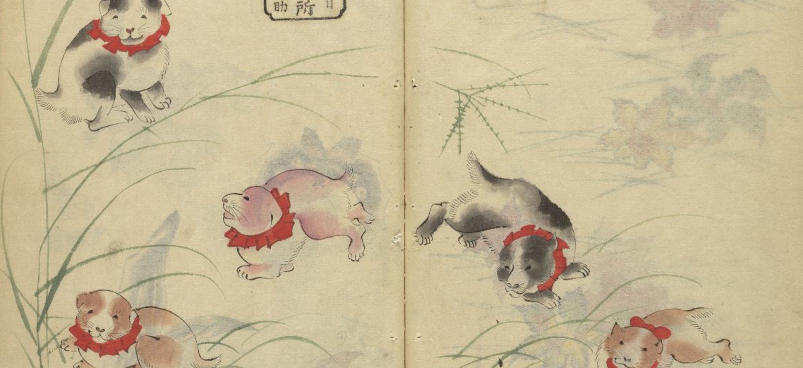 Drawing of fish and other animals