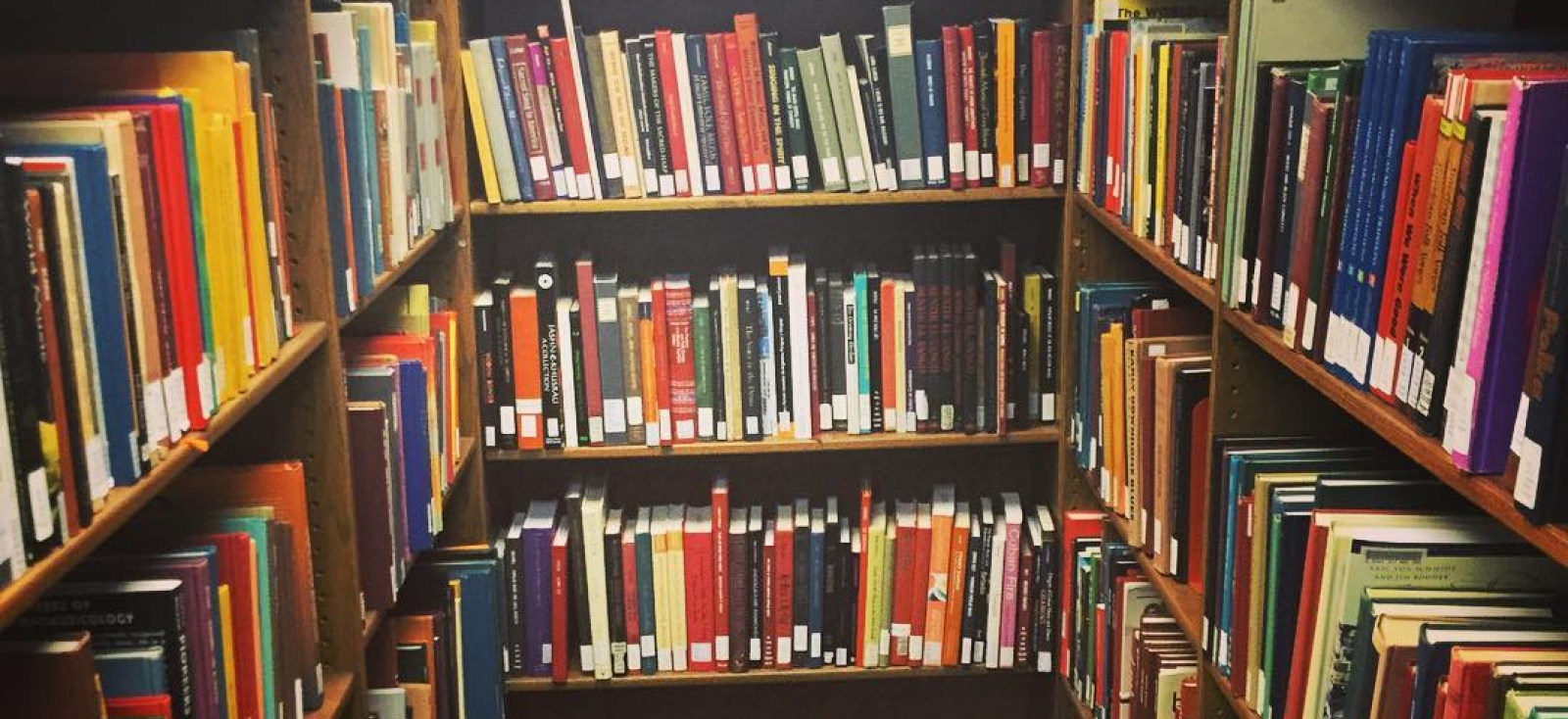 bookshelves in the Seeger Room