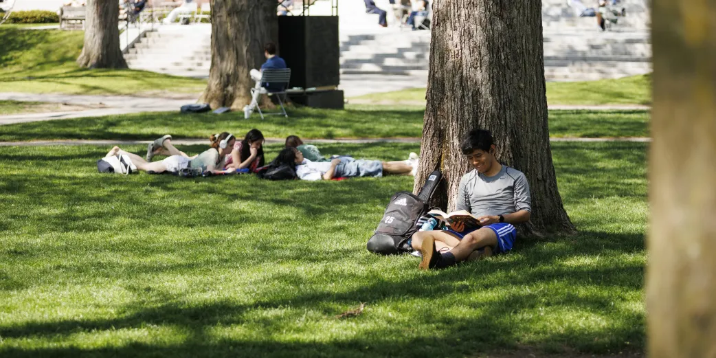 People sit on the grass in Harvard Yard reading on a sunny day 