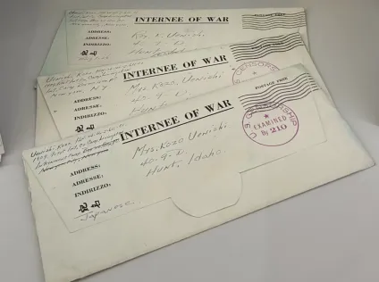 Three stamped envelopes, laid out along a line, with the words "Internee of War" very visible at the top.