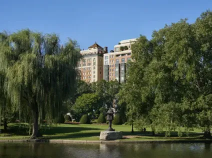A view of Boston Public Garden with the pool in front, trees, and a hotel in the background.