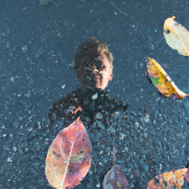 A star at dawn, a bubble in a stream, a flash of lightening in a summer cloud, a flickering lamp, a phantom, and a dream.