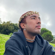 Primo looks off to the right of the screen with a flower crown on their head, grassy hills and a gray sky in the background