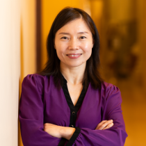 Yuan Li's profile picture